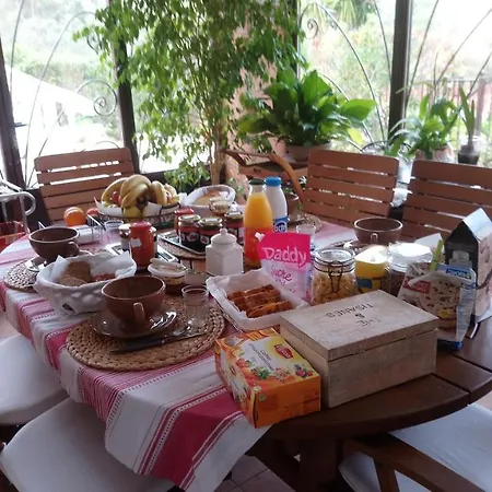 Alojamento de Acomodação e Pequeno-almoço La Florentine Bandol